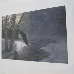 "Awakening - Bald Eagle" By Persis Clayton Weirs