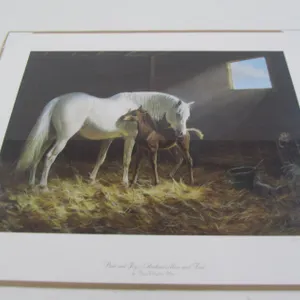 "Pride And Joy - Arabian Mare And Foal" By Persis Clayton Weirs