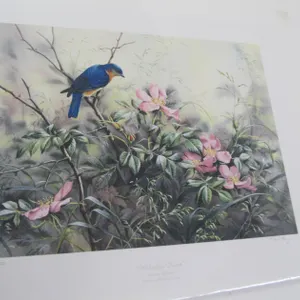 "Wild Rose Thicket - Eastern Bluebird" By Catherine McClung