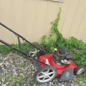 MTD Push Mower