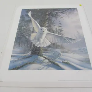 "Snowy Pursuit - Snowy Owl" By James A. Meger