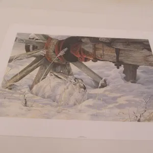 "Snowy Refuge" By Jorge J. Mayol