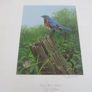 "On The Watch - Bluebird" Artist Proof By Owen J. Gromme