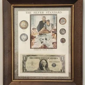 The Silver Standard Framed Coin Display w/ Silver