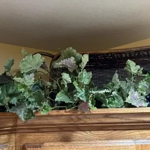 Wicker Basket with Faux Grapes and Ivy and Ceramic