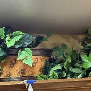 Ornate Faux Ivy Pot Finial Set