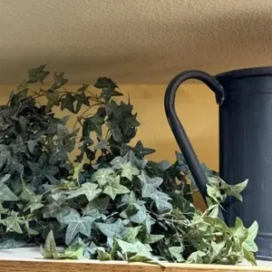 Black Metal Watering Can & Faux Ivy Garland Set
