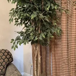 Faux Ficus Tree in Wicker Basket