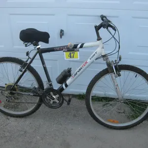 Adult Bicycle