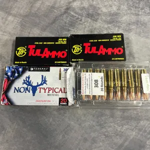 308 Assorted Ammo (Neenah, WI)