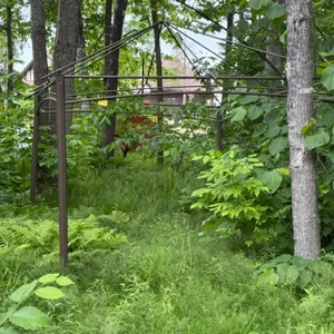 Gazebo w/ Canopy