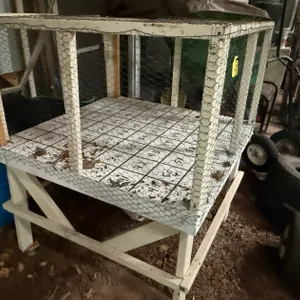 Chicken Drop Bingo