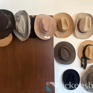 VARIETY OF HATS