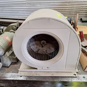 Electric Squirrel Cage Blower
