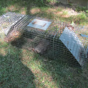 Havahart Animal Trap