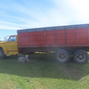 1971 Ford 700, 361 Gas, 5-Spd Std, Tandem Tag Axle, 20 Ft Box