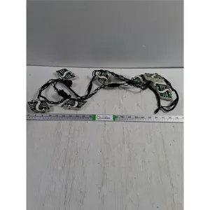 Saskatchewan Roughriders String Lights
