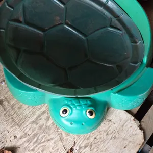 Turtle sandbox