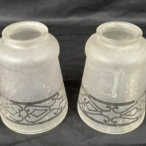 Pair of Glass Oil Lamp Shades