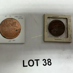 1965 1-cent Sudbury Centennial Maple Leaf coin