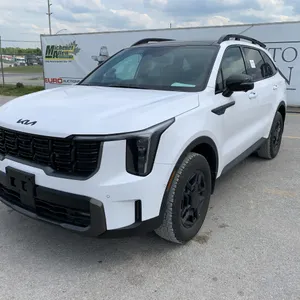 2025  Kia  Sorento  TRIM:	SORENTO (MQ4A) X-PRO (OLIVE BROWN INT)	MODEL CODE:	SR856S