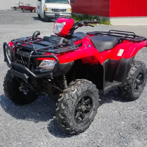 2017  Honda   Rubicon  Foot Shift  Quad