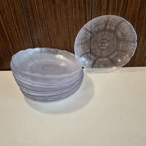 (12) Cisco 8" Polycarbonate Salad Plates - Model # 5306253 - NSF Approved