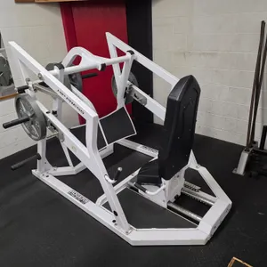 Rogers Hip Press with (4) 100# Plates