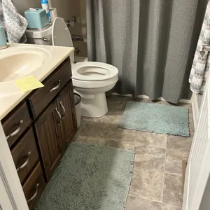Bathroom Rugs and Bathroom Set