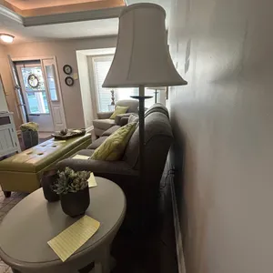 2 Tall Lamps 4'8"
