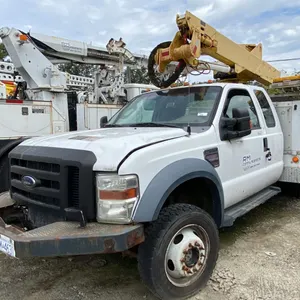 2009 FORD F-550 XL, 4DR GIRAFFE, WHITE, VIN 1FDAX57R69EB10077,