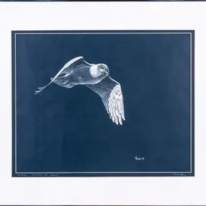 J.L. GRONDIN "HARFANG DES NEIGES" SERIGRAPH, 1975