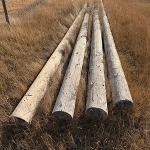 Power Poles * This item Sold Live On-Site only. Must attend auction in person to purchase.
