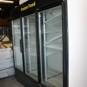 True Model GDM-72F-LD 3 Door Merchandiser Freezer Suitable for Indoor Outdoor Use, 79 x 31 x 79