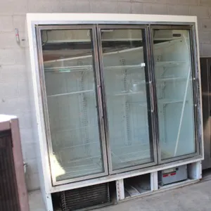 Hoosman Model HGL-3-BS 3 Door Commercial Low Temp Freezer, 75 x 34 x 80
