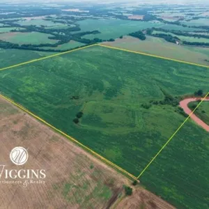 7/7 150 +/- Ac. | Productive Sm. Grain Land w/Creek, Logan C