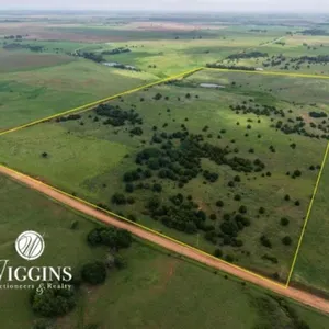 Farm #1 (78 +/- Ac.):