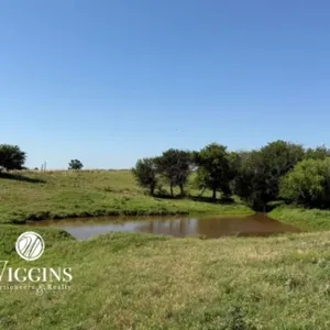 Farm #2, Tract #2 (155 +/- Ac.):