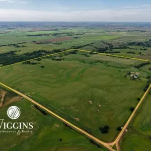 Farm #2 Entirety (161 +/- Ac., Home, & Outbldgs.):