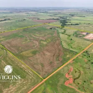 7/15 160 +/- Ac. | Good Sm. Grain/Livestock Land, Garfield C
