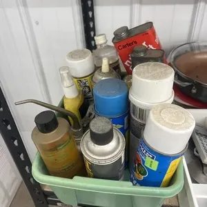 Assorted Spray Cleaners & Paint - Insect Sprays