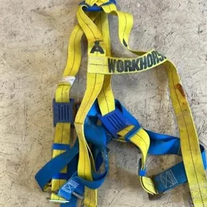 Workhorse Harness