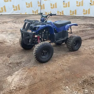 2015 TAOTAO ATA150-D ATV