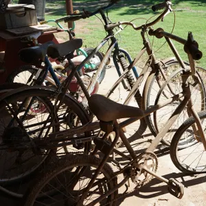 3 Bikes