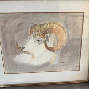 G. Lynch Framed Ram Portrait Drawing
