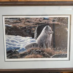 Ron Parker Northern Morning-Arctic Fox Print