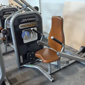 LIFE FITNESS TRICEPS PRESS STATION