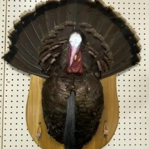 Turkey Mount