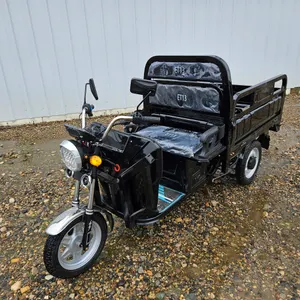 ELECTRIC TRICYCLE - ET13