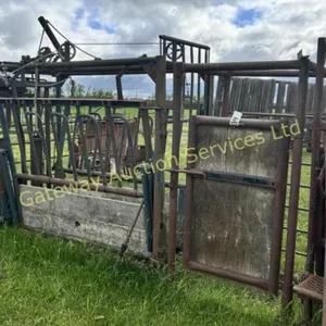 Cattle squeeze